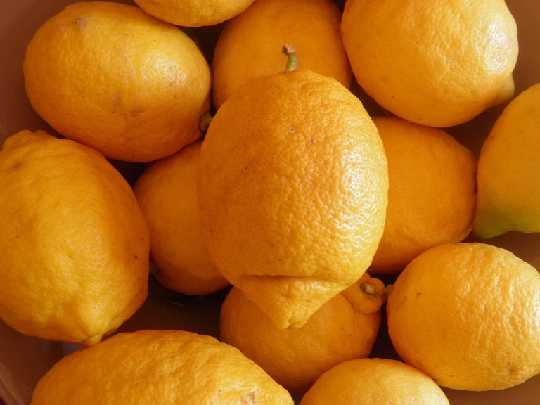 Zitrone, Furcht, Obst — © Biold: Pixabay