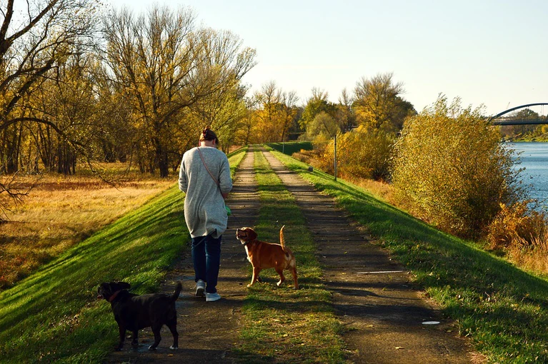 Hund Gassi Spaziergang — © Bild: pixabay