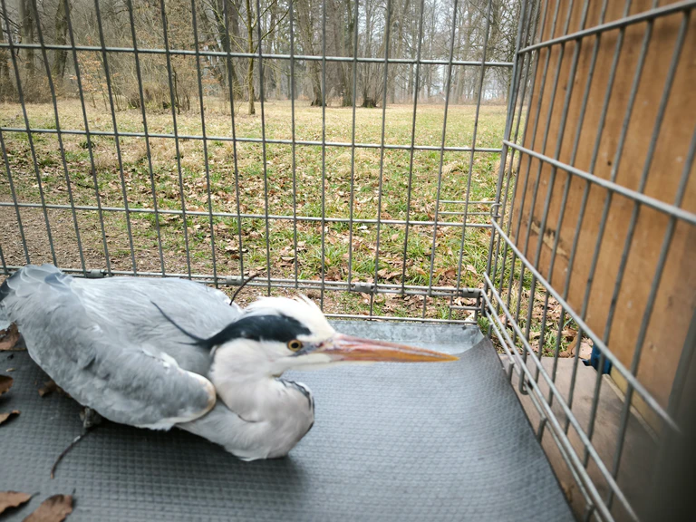 — © Bild: Berufsfeuerwehr Augsburg