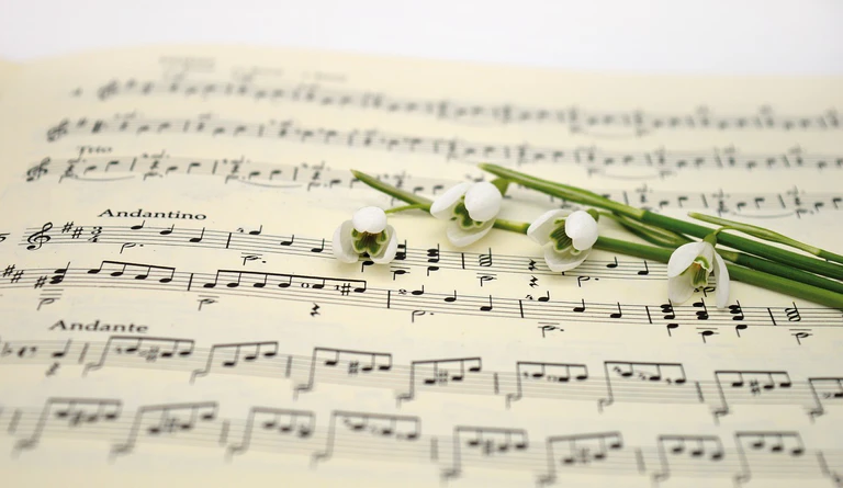 — © Foto: Pixabay