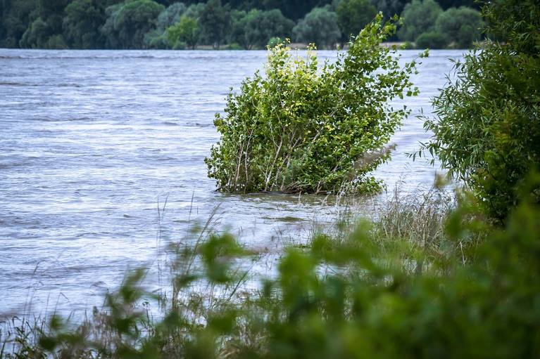 Hochwasser — © Bild: pixabay