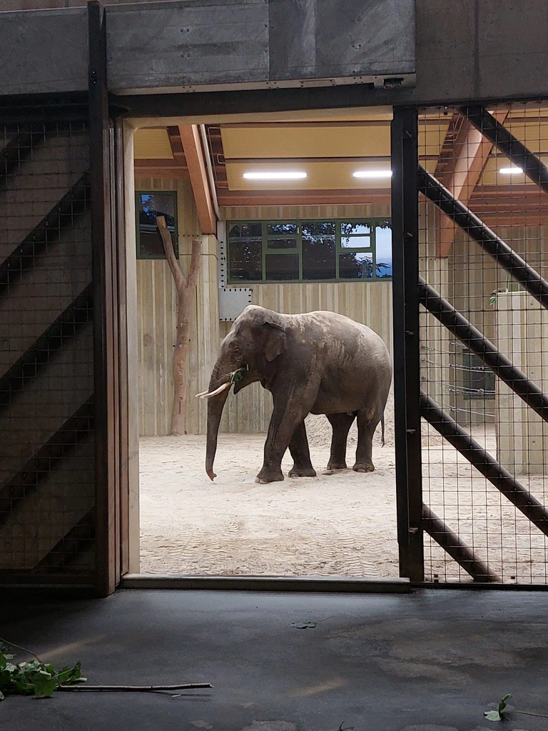 — © Foto: Zoo Augsburg/Peter Bretschneider und Laura Japke