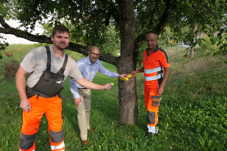  — © Foto: Gemeinde Leipheim 