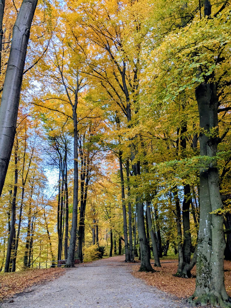 — © Radio Augsburg Wittelsbacherpark Oktober 2025
